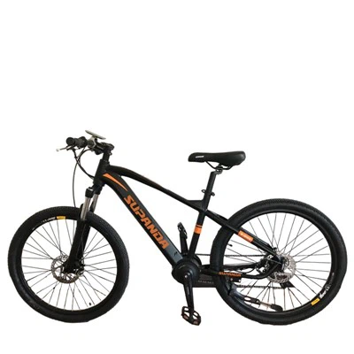 Mid Drive Mountain E Bike