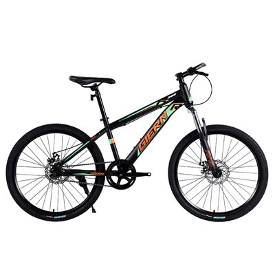 Single Speed Dh Bike