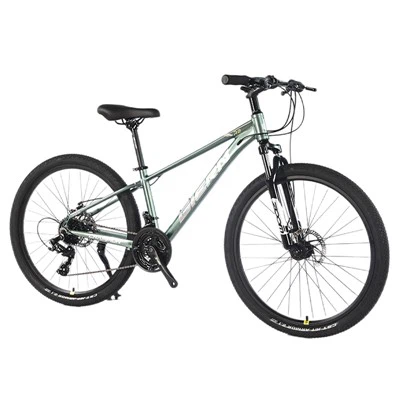 Women's 21 Speed Mountain Bike