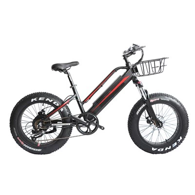 Youth Electric Mountain Bike