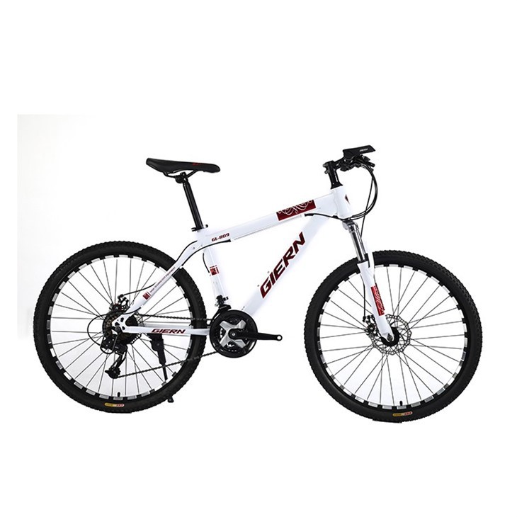 Smart Hardtail Mountain Bike