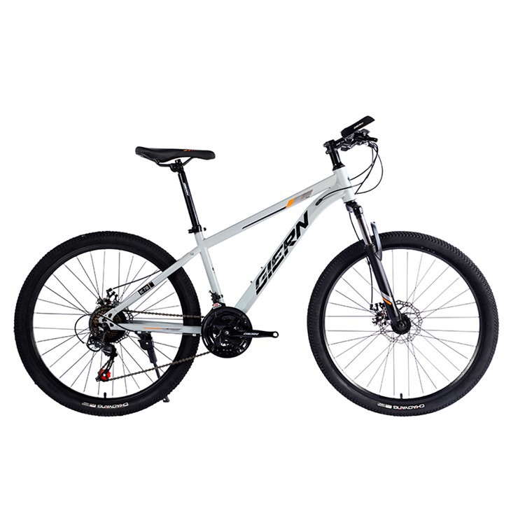 Steel Frame Hardtail Mtb