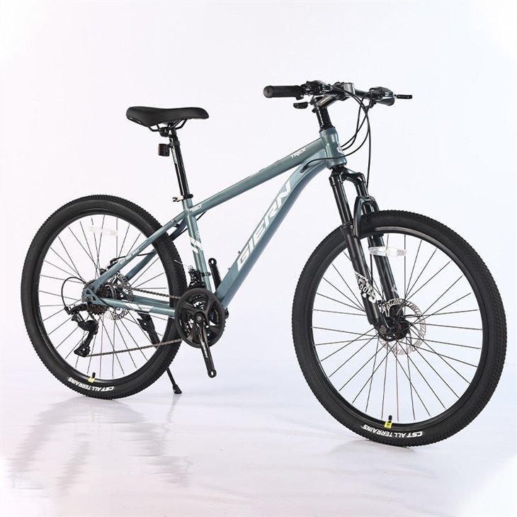 Trek Suspension Mountain Bike