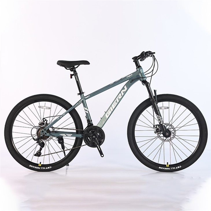 Trek Suspension Mountain Bike