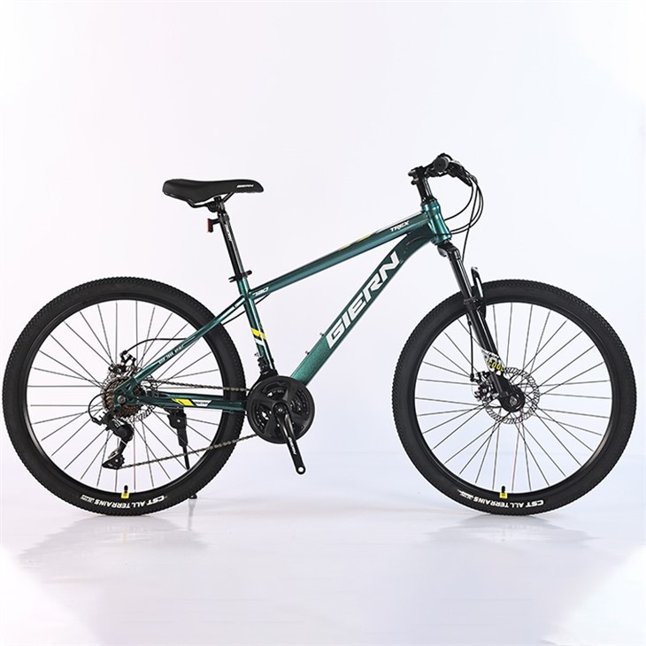 Trek Suspension Mountain Bike