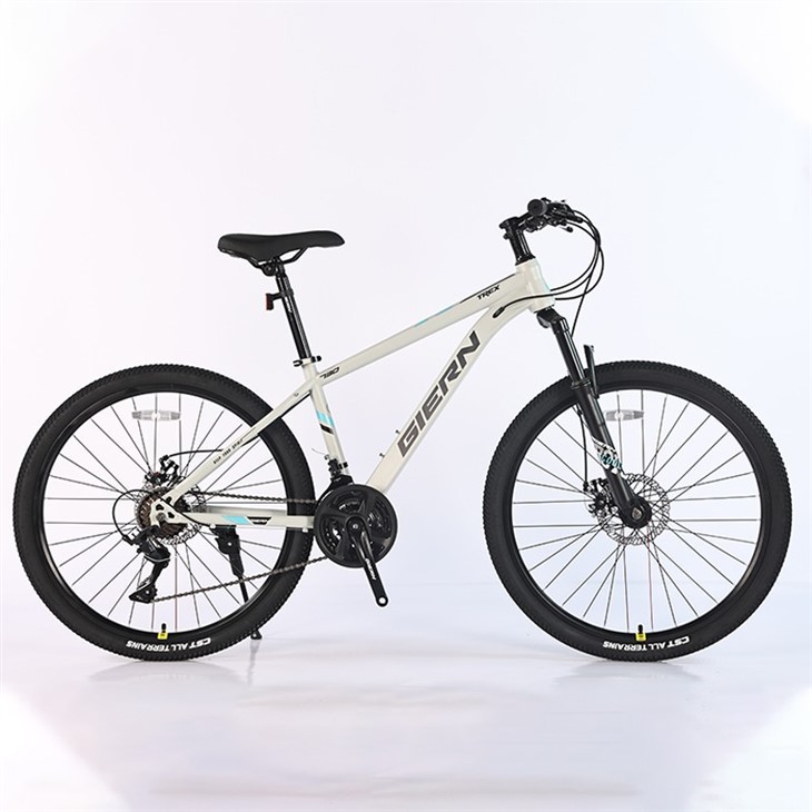 Trek Suspension Mountain Bike