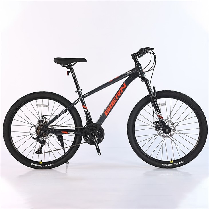 Trek Suspension Mountain Bike
