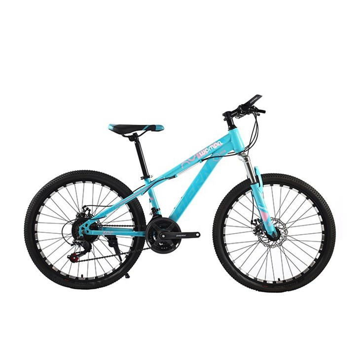 Women Push Bikes For Sale