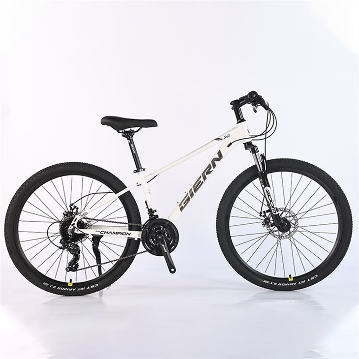 Women's 21 Speed Mountain Bike