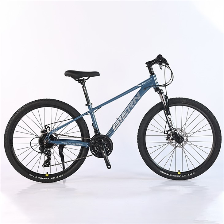 Women's 21 Speed Mountain Bike