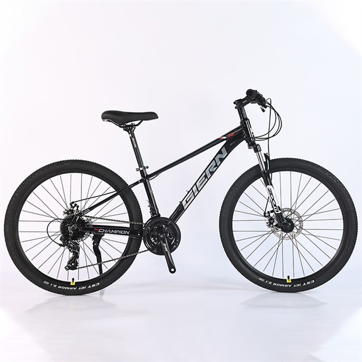 Women's 21 Speed Mountain Bike