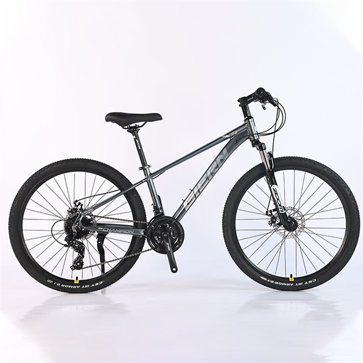 Women's 21 Speed Mountain Bike