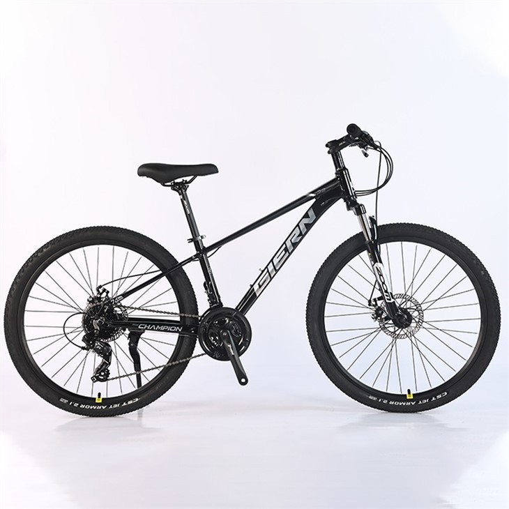 Women's 21 Speed Mountain Bike