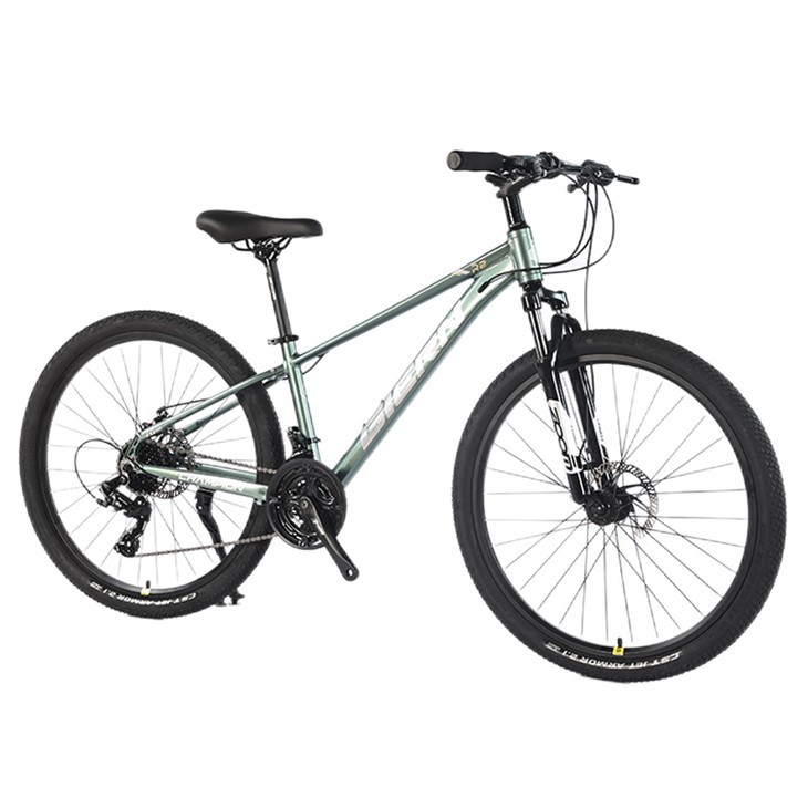 Women's 21 Speed Mountain Bike