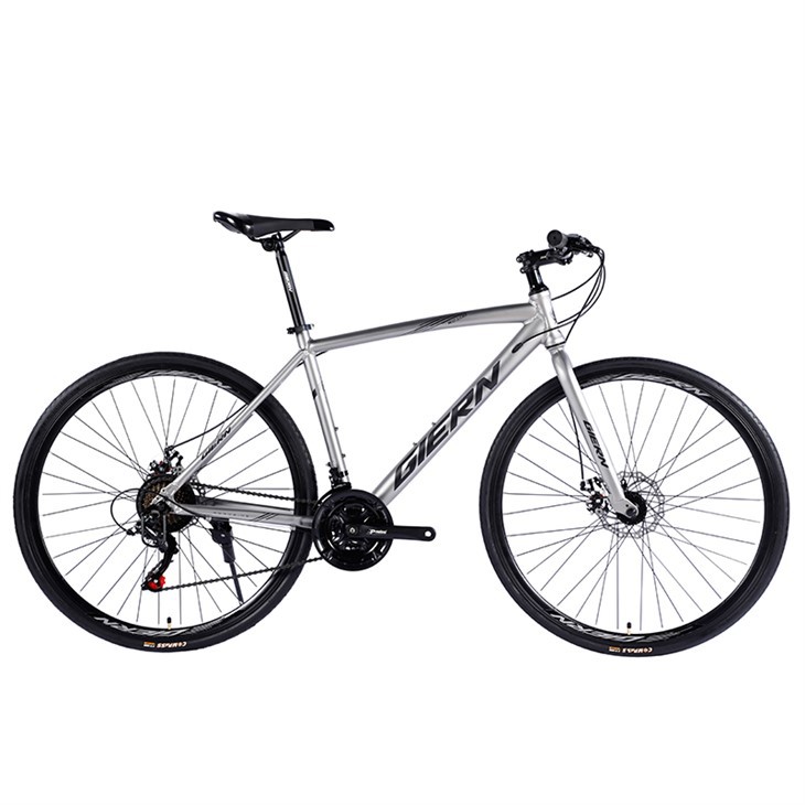 Women's Aluminum Road Bike