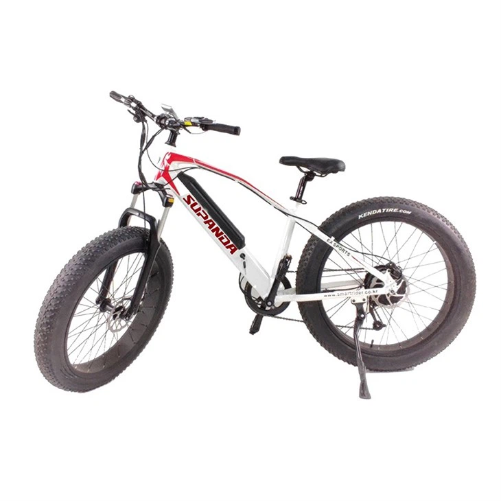 Women's E Bike Mountain