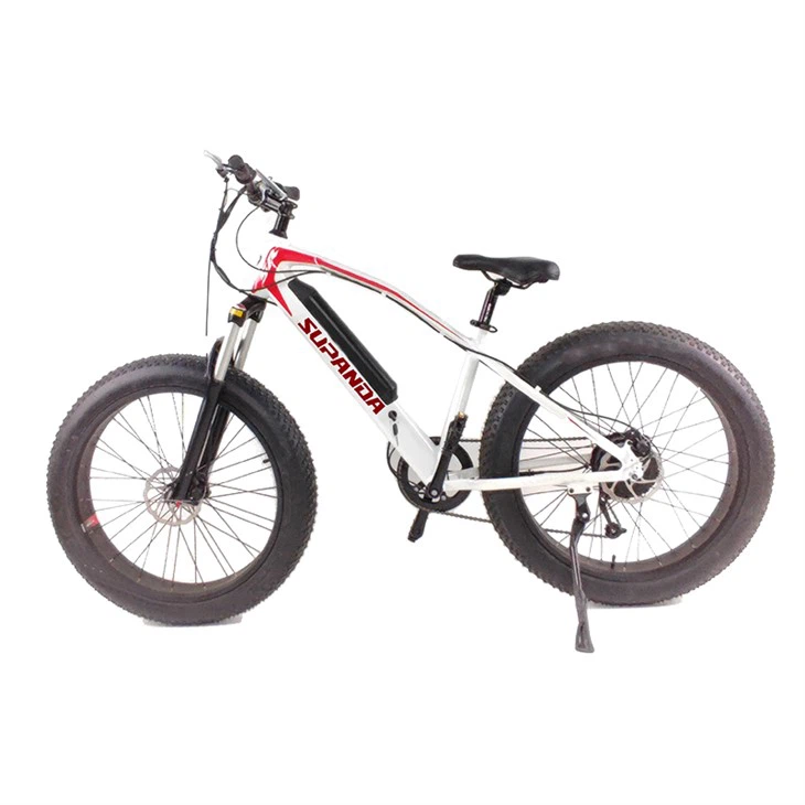 Women's E Bike Mountain