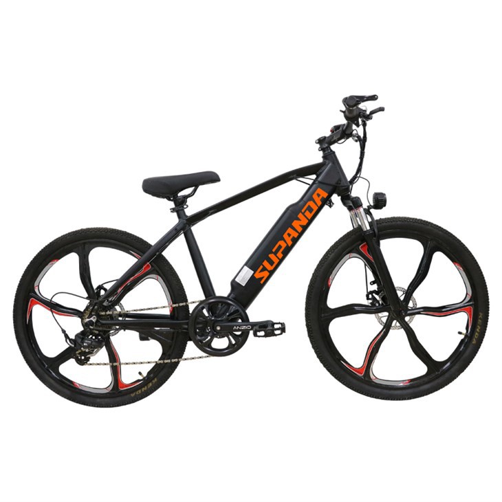 Women's Mountain E Bike