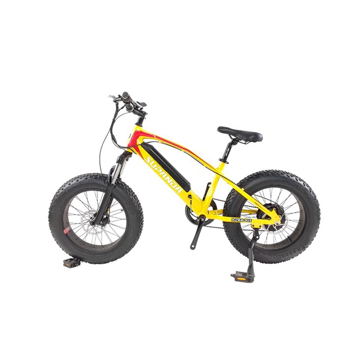 Xs Electric Mountain Bike