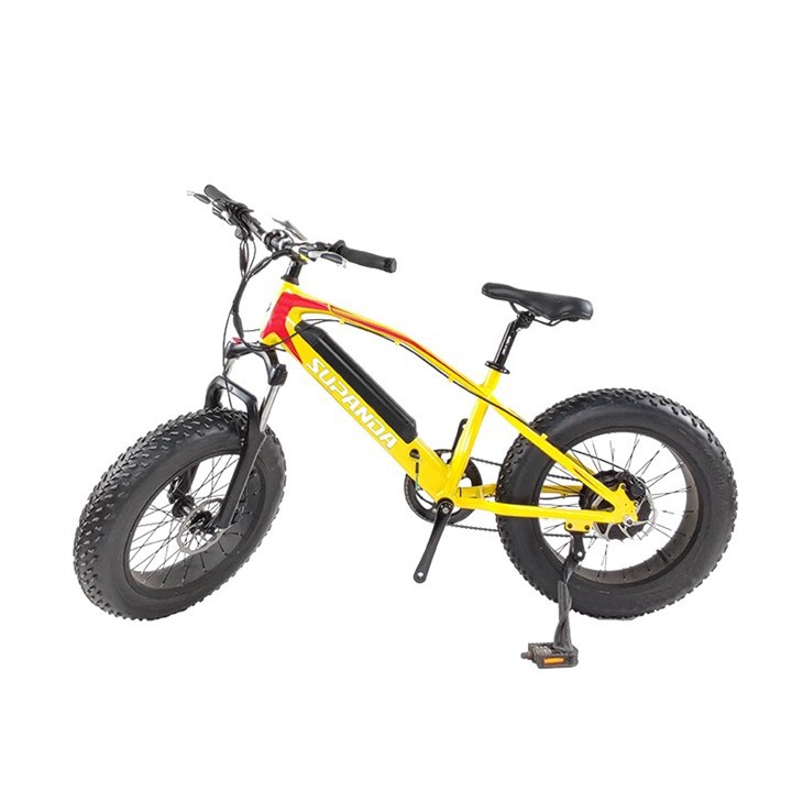Xs Electric Mountain Bike