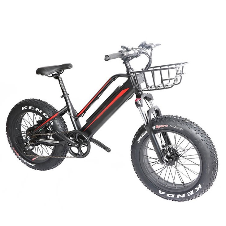 Youth Electric Mountain Bike
