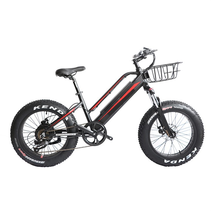 Youth Electric Mountain Bike