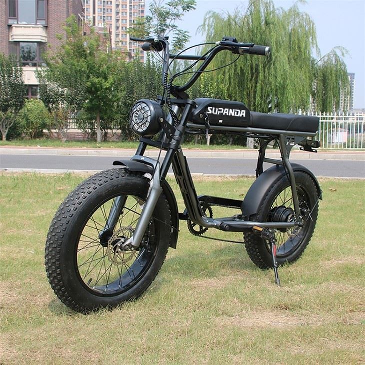 500 Watt Mountain Bike