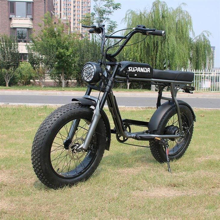 500 Watt Mountain Bike