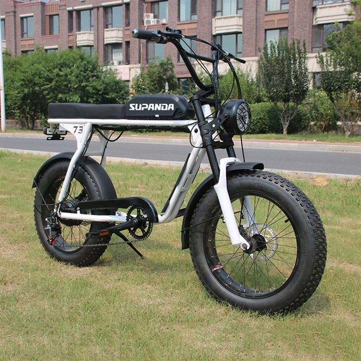 500 Watt Mountain Bike