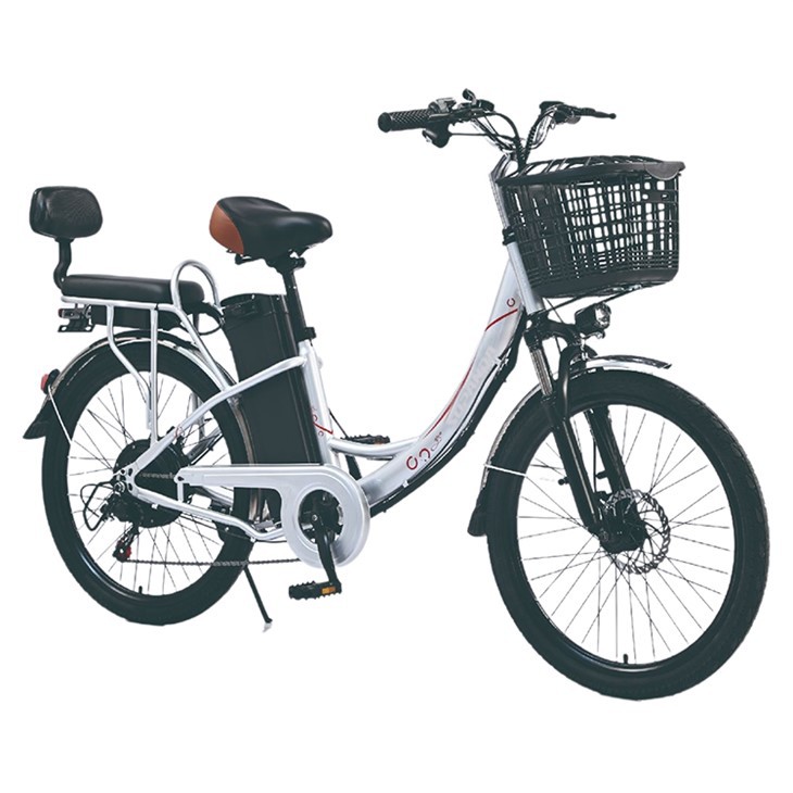 City Star Electric Bike 350W factory
