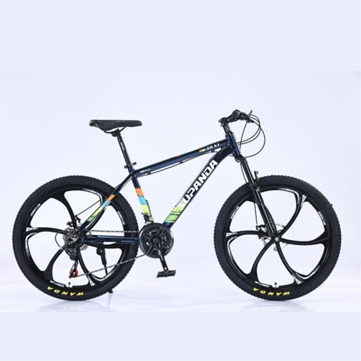 21 Inch Men's Mountain Bike