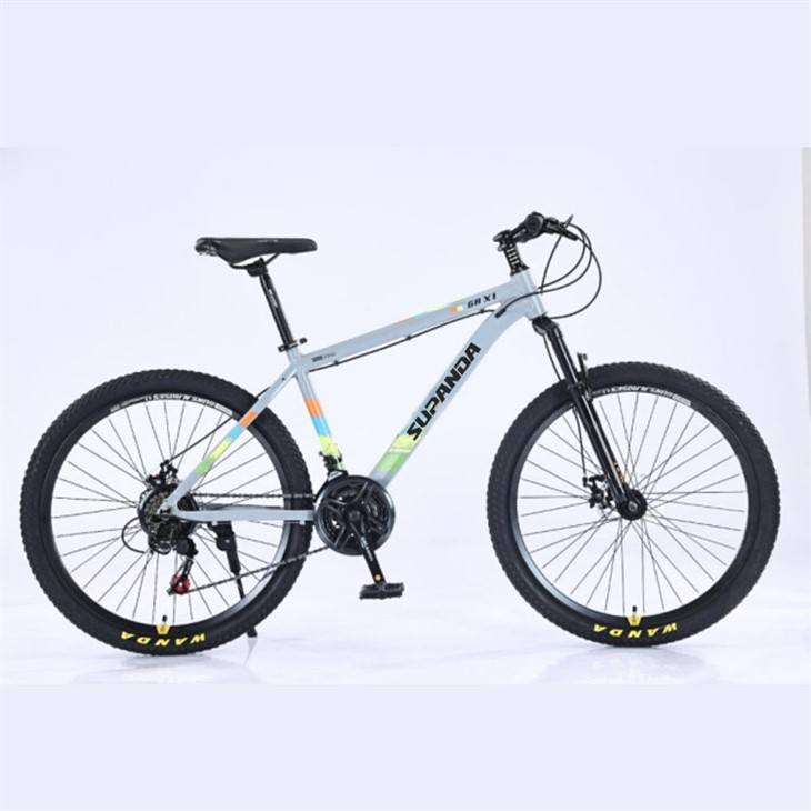21 Inch Men's Mountain Bike