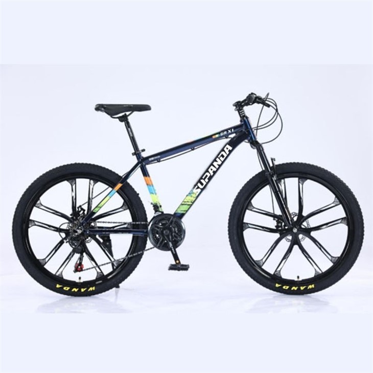21 Inch Men's Mountain Bike
