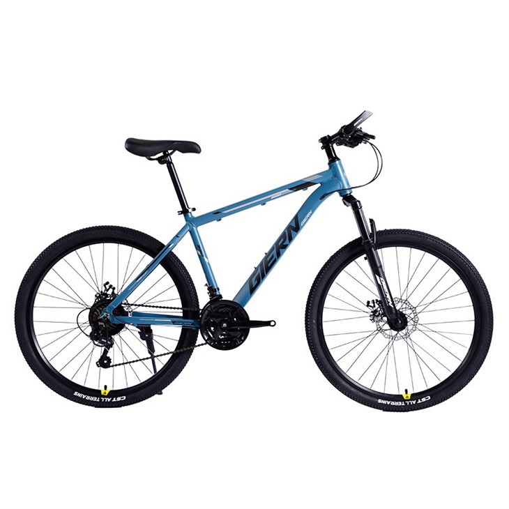21 Speed Hardtail Mountain Bike