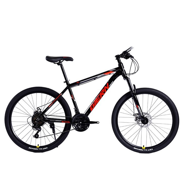 21 Speed Hardtail Mountain Bike