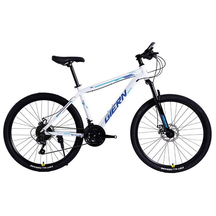 21 Speed Hardtail Mountain Bike