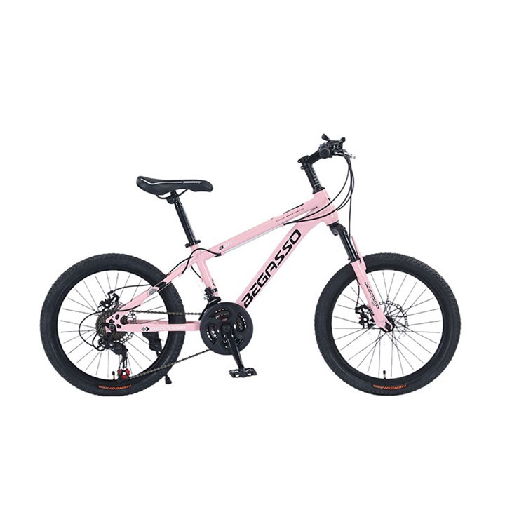 22 Inch Hardtail Mountain Bike