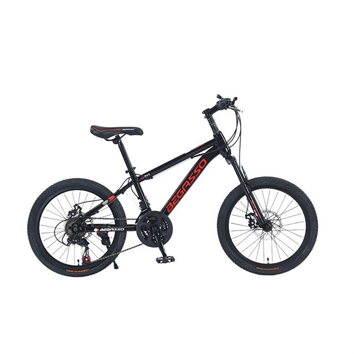 22 Inch Hardtail Mountain Bike
