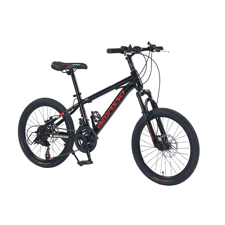 22 Inch Hardtail Mountain Bike