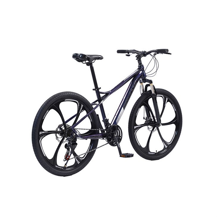 24 Inch Integrated Wheel Mountain Bike