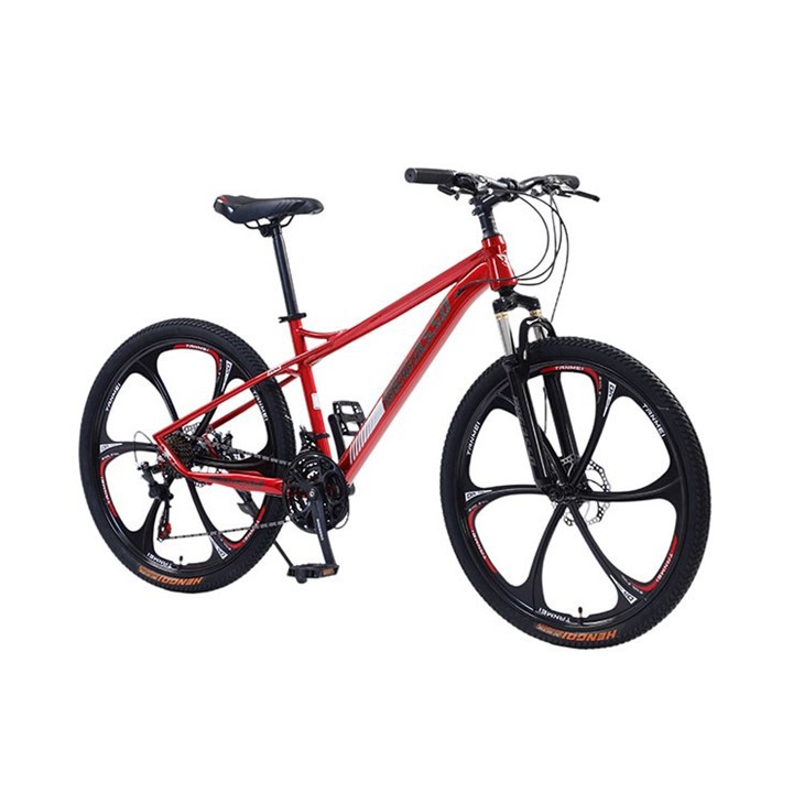 24 Inch Integrated Wheel Mountain Bike