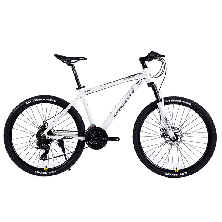 26 Inch Alloy Mountain Bike