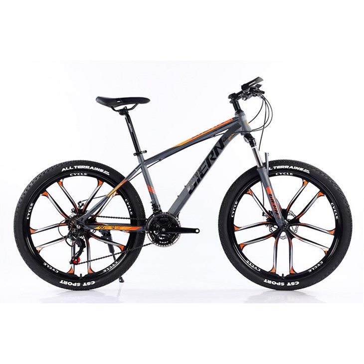 26 Inch Aluminum Alloy Mountain Bike