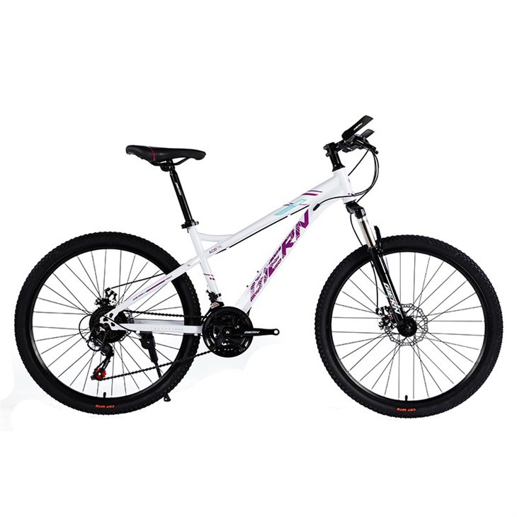 26 Inch High Carbon Steel Mountain Bike