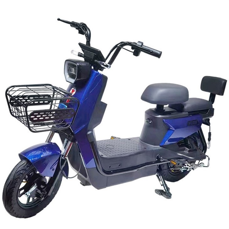 500W Electric Stcooter E-bike With Two Wheels