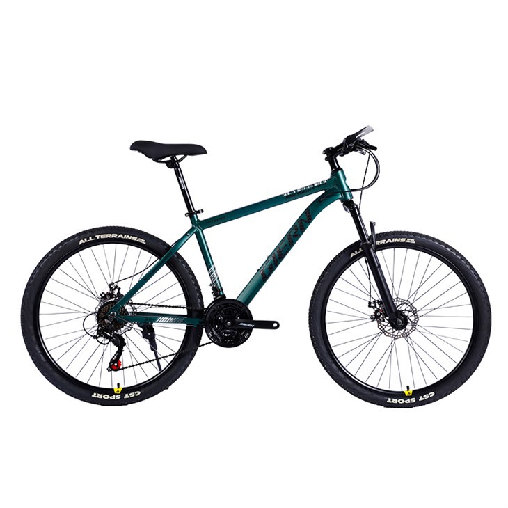 6061 Aluminum Alloy Frame Mountain Bike