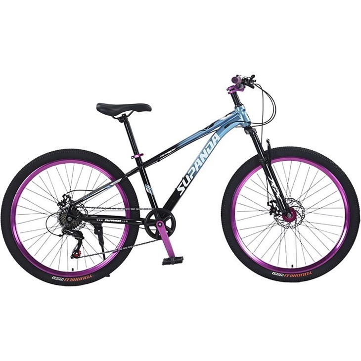 7 Speed Mtb Shimano 26 Inch Mountain Bike best
