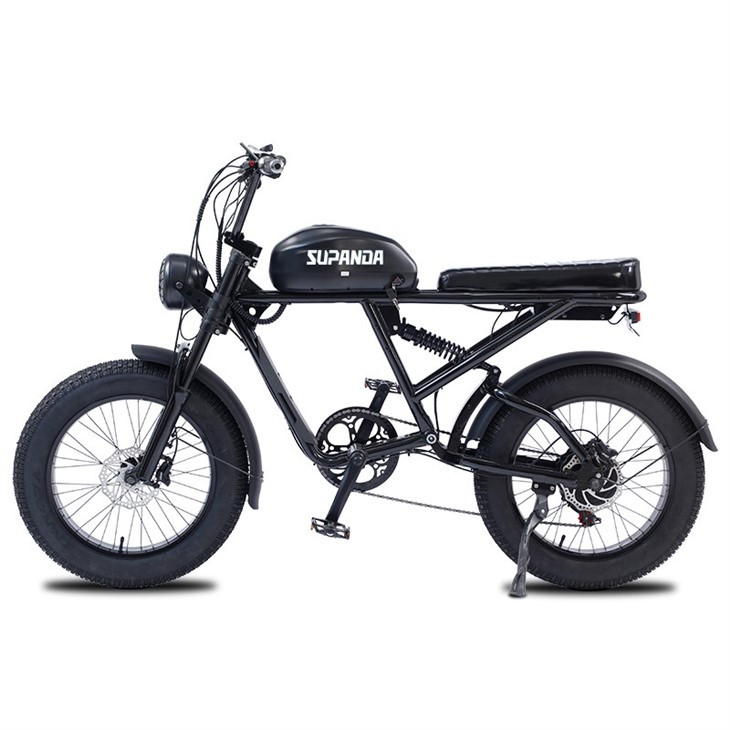 750w Electric Mountain Bike