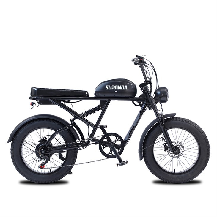 750w Electric Mountain Bike