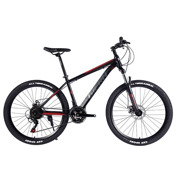 Aluminum Alloy Frame Mountain Bike